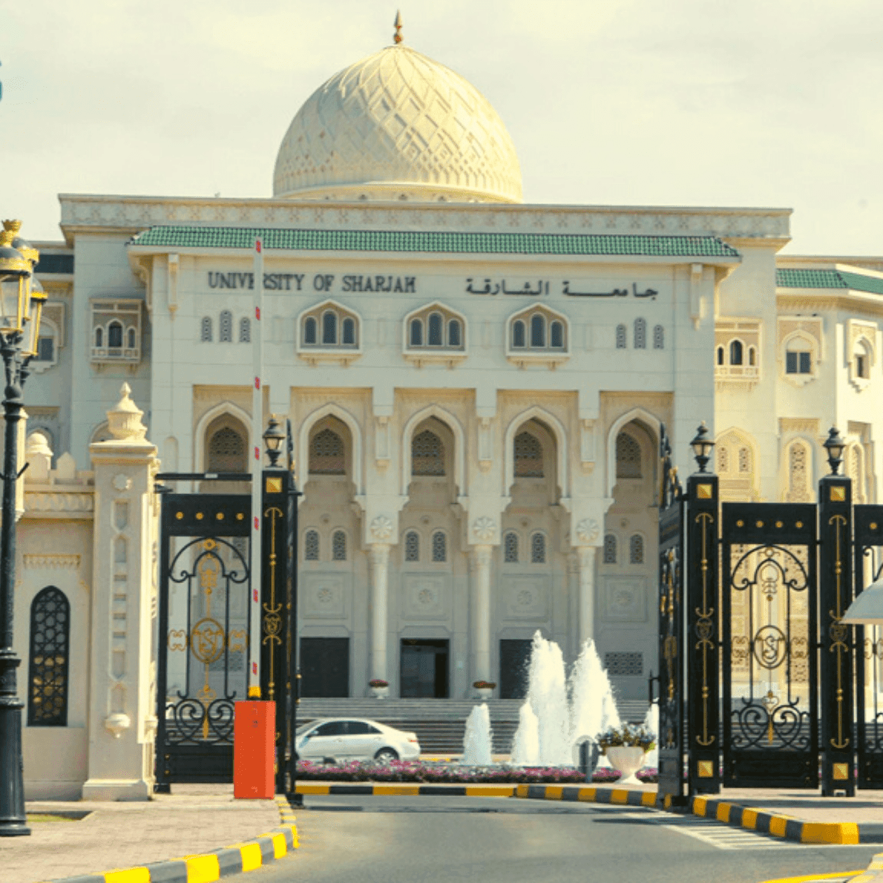 شروط القبول في جامعة الشارقة شروط القبول في جامعة الشارقة