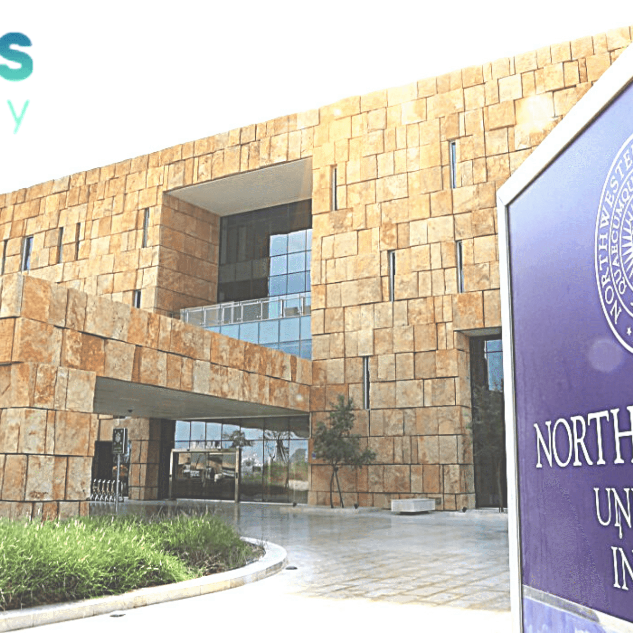 تخصصات جامعة نورثوسترن في قطر