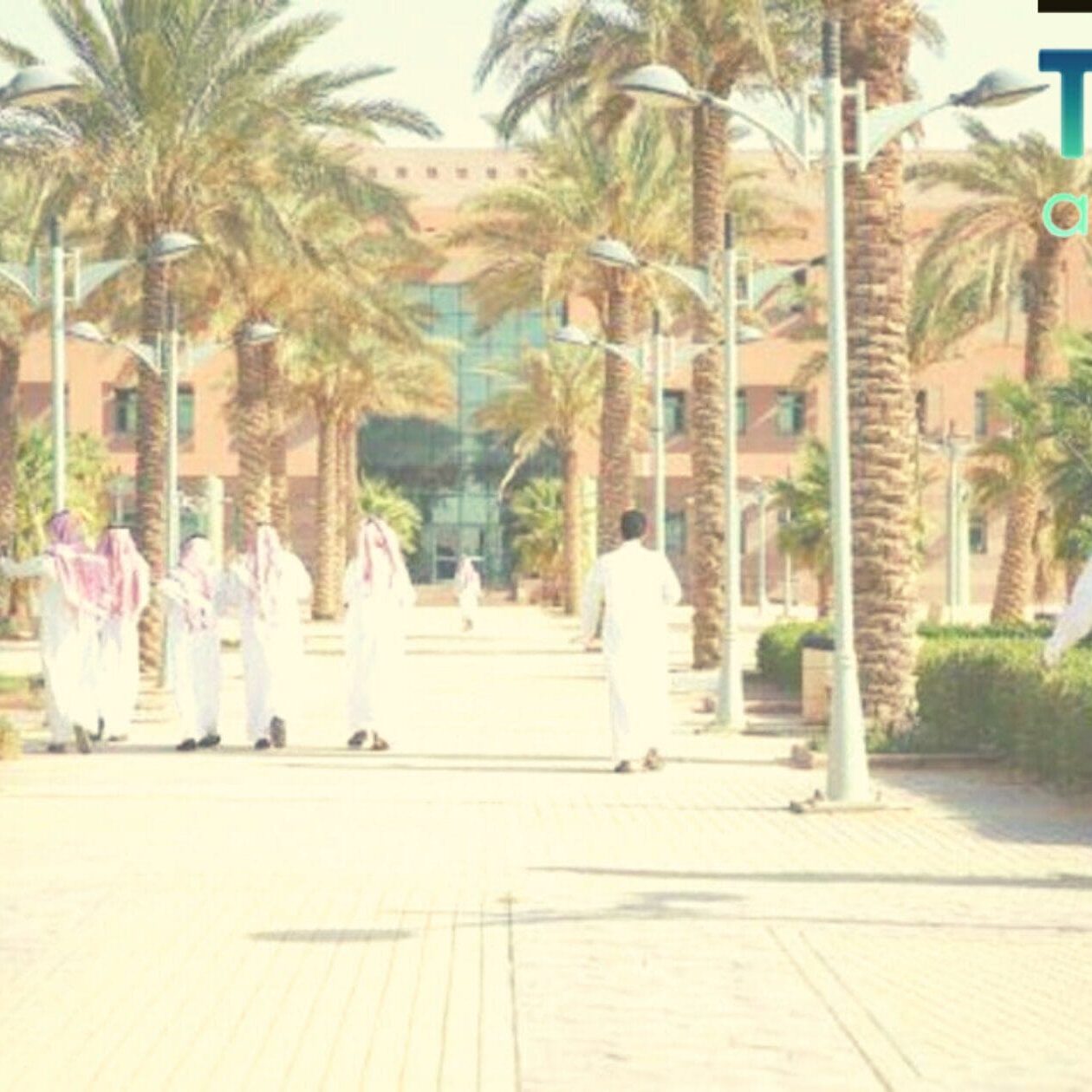 كيفية تسجيل دخول طلاب في الجامعات السعودية كيفية تسجيل دخول طلاب في الجامعات السعودية