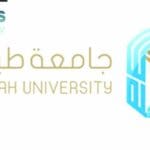 أفضل التخصصات الأكاديمية الجديدة بجامعة طيبة