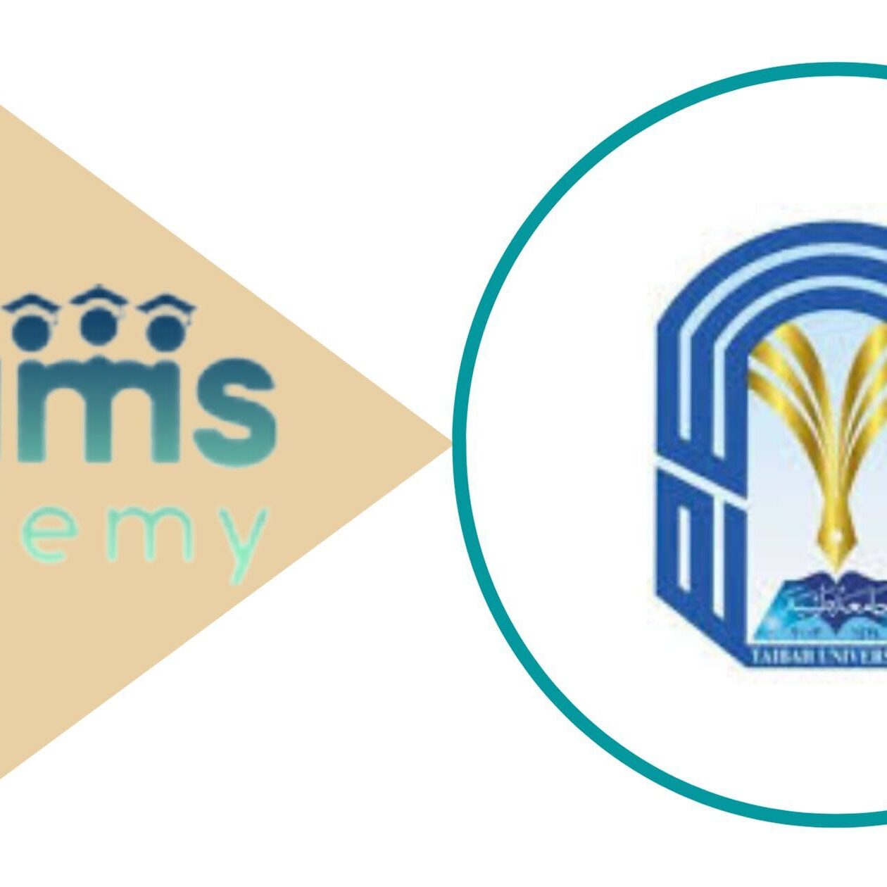 شروط القبول في جامعة طيبة