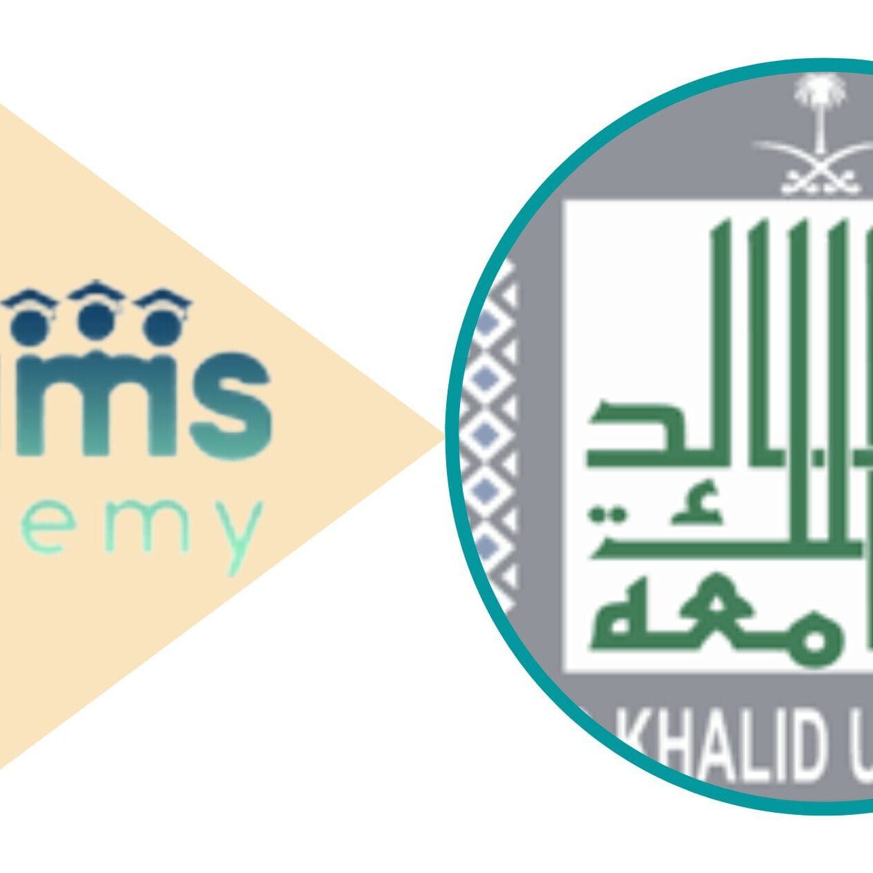 نسب القبول للفرع المختلفة في جامعة الملك خالد