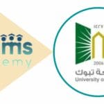 ماهي تخصصات جامعة تبوك؟