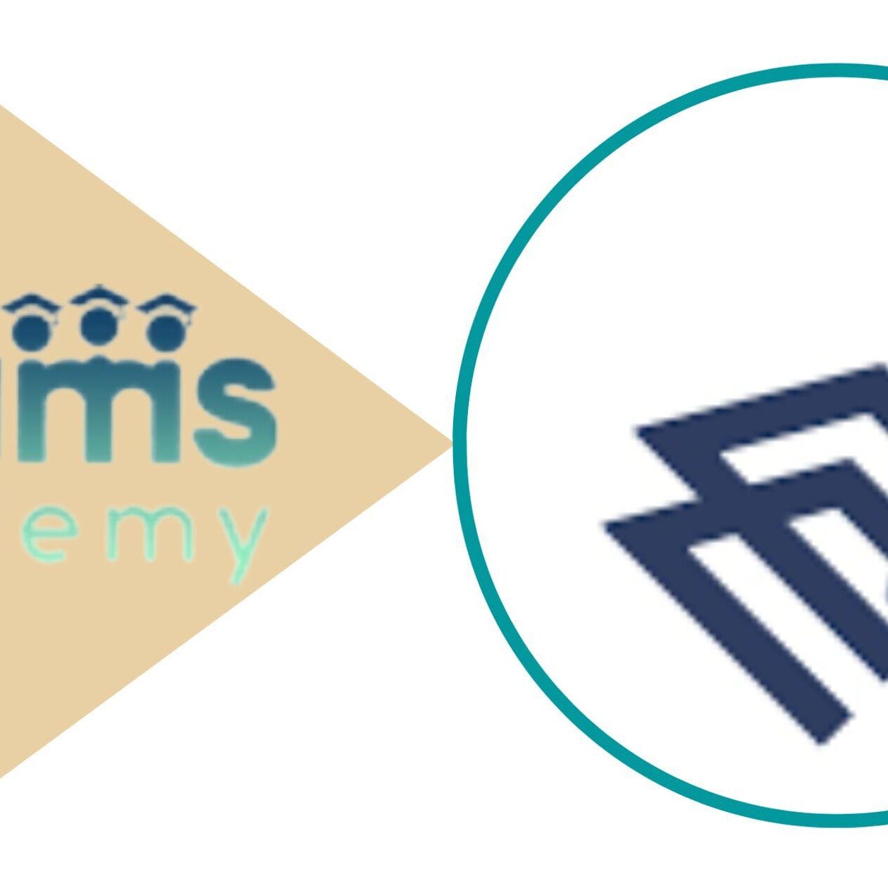 الإختصاصات المتوافرة في جامعة الإمام عبد الرحمن بن فيصل