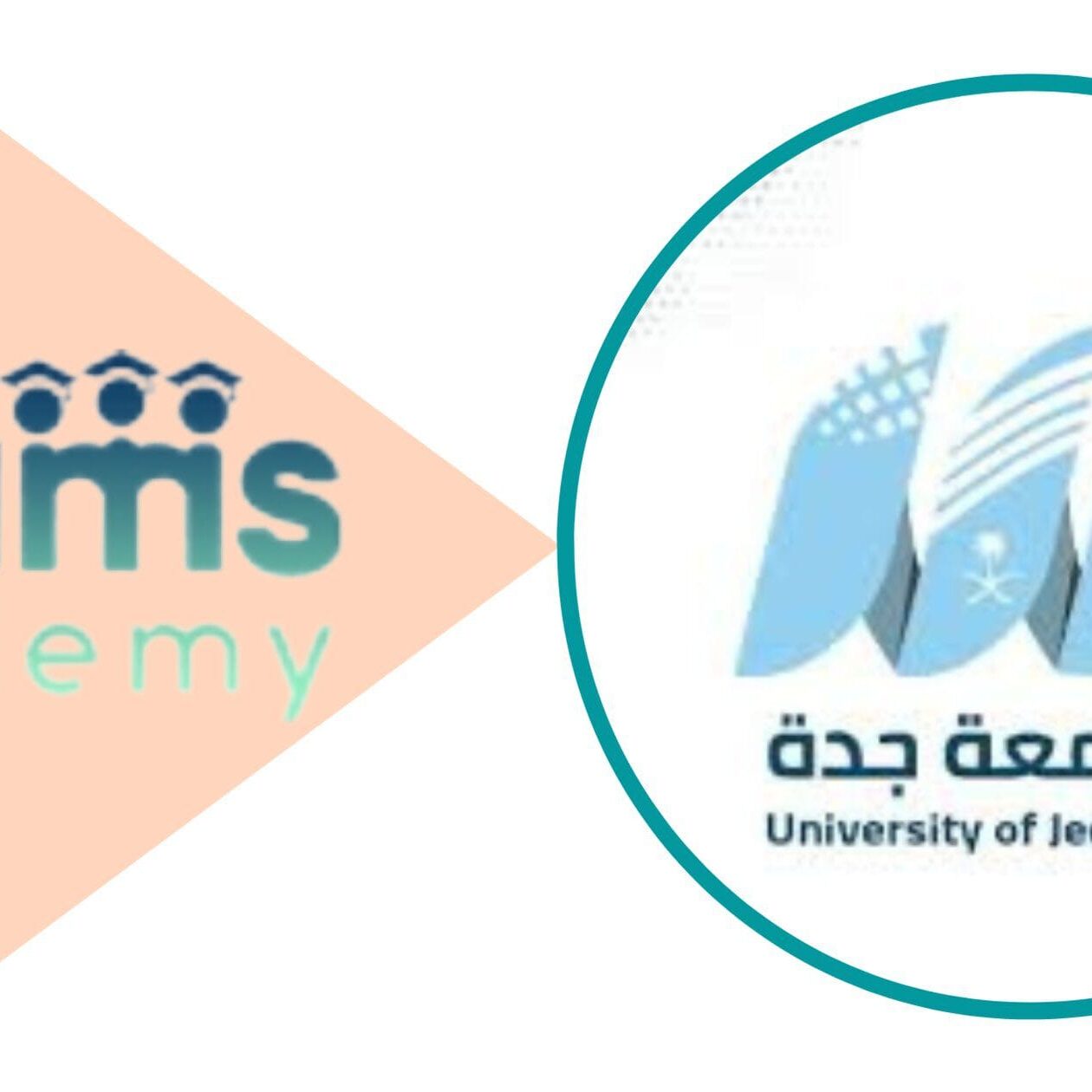 الإختصاصات العلمية في جامعة جدة