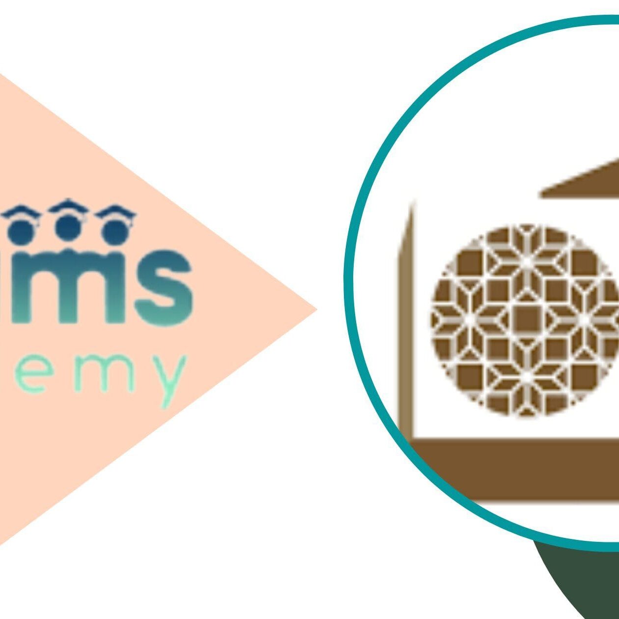 جامعة قطر وأفضل الإختصاصات فيها