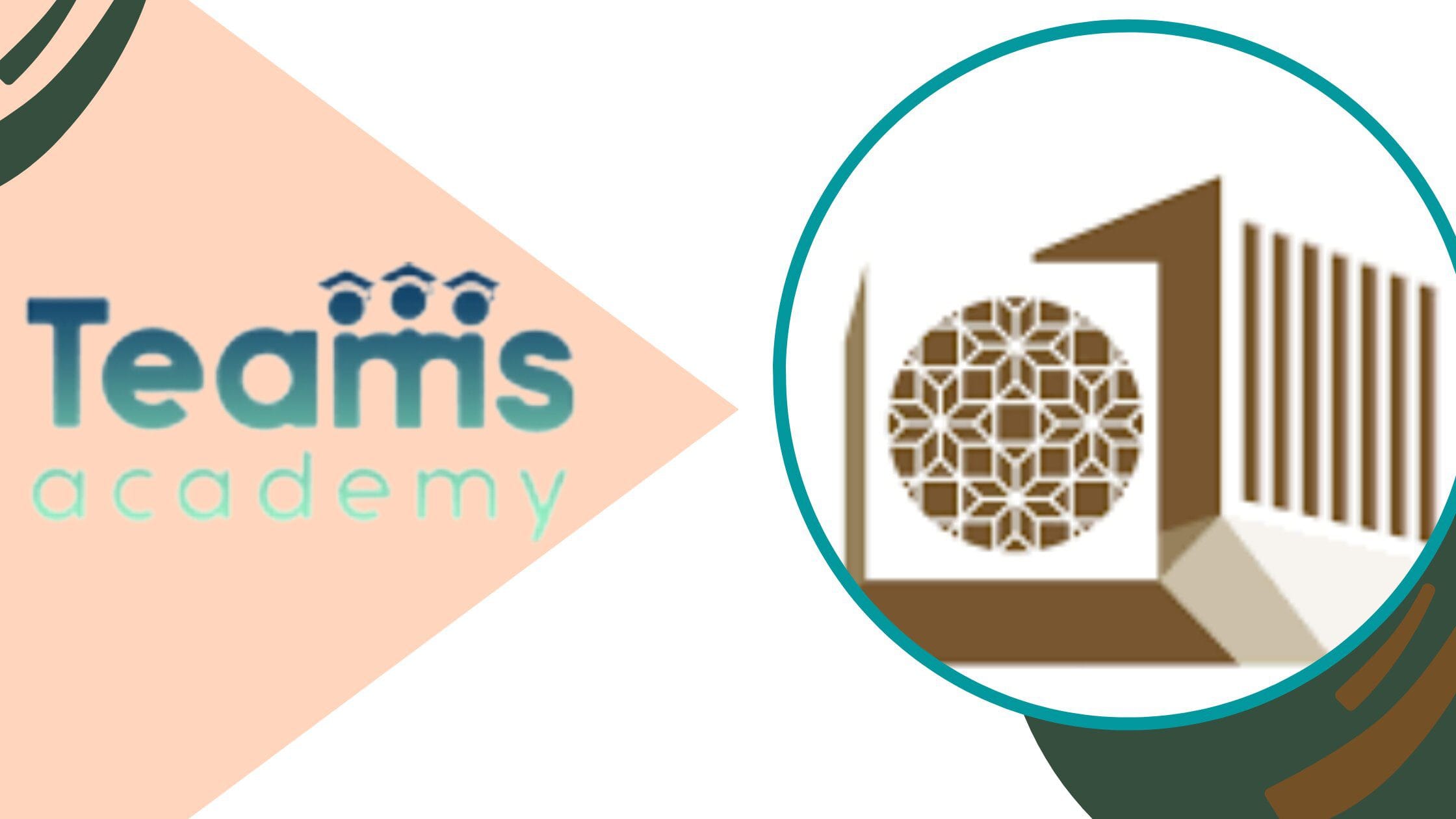 جامعة قطر وأفضل الإختصاصات فيها