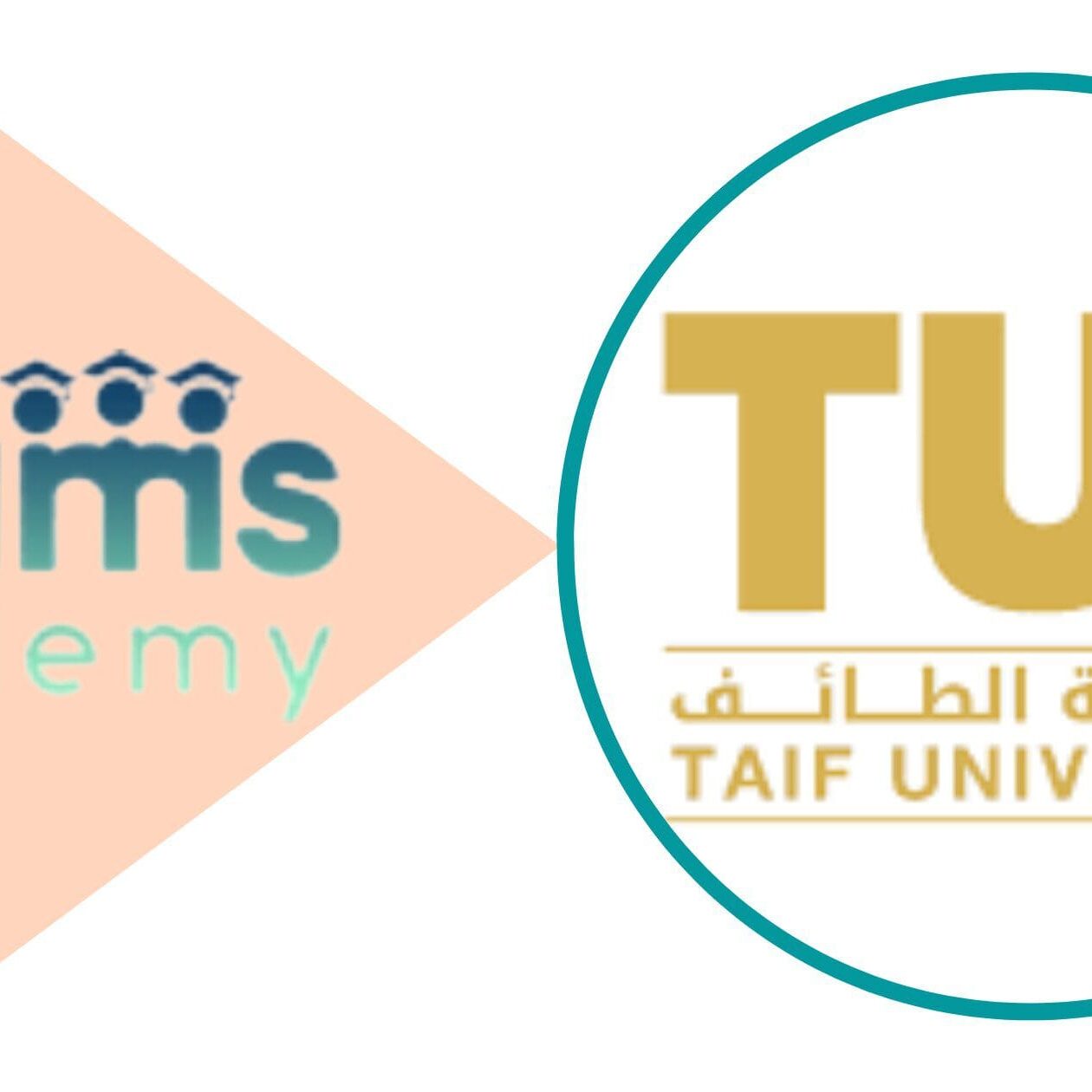 التسجيل في جامعة الطائف