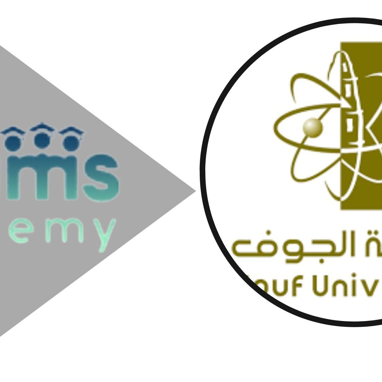 التخصصات الجامعية في جامعة الجوف