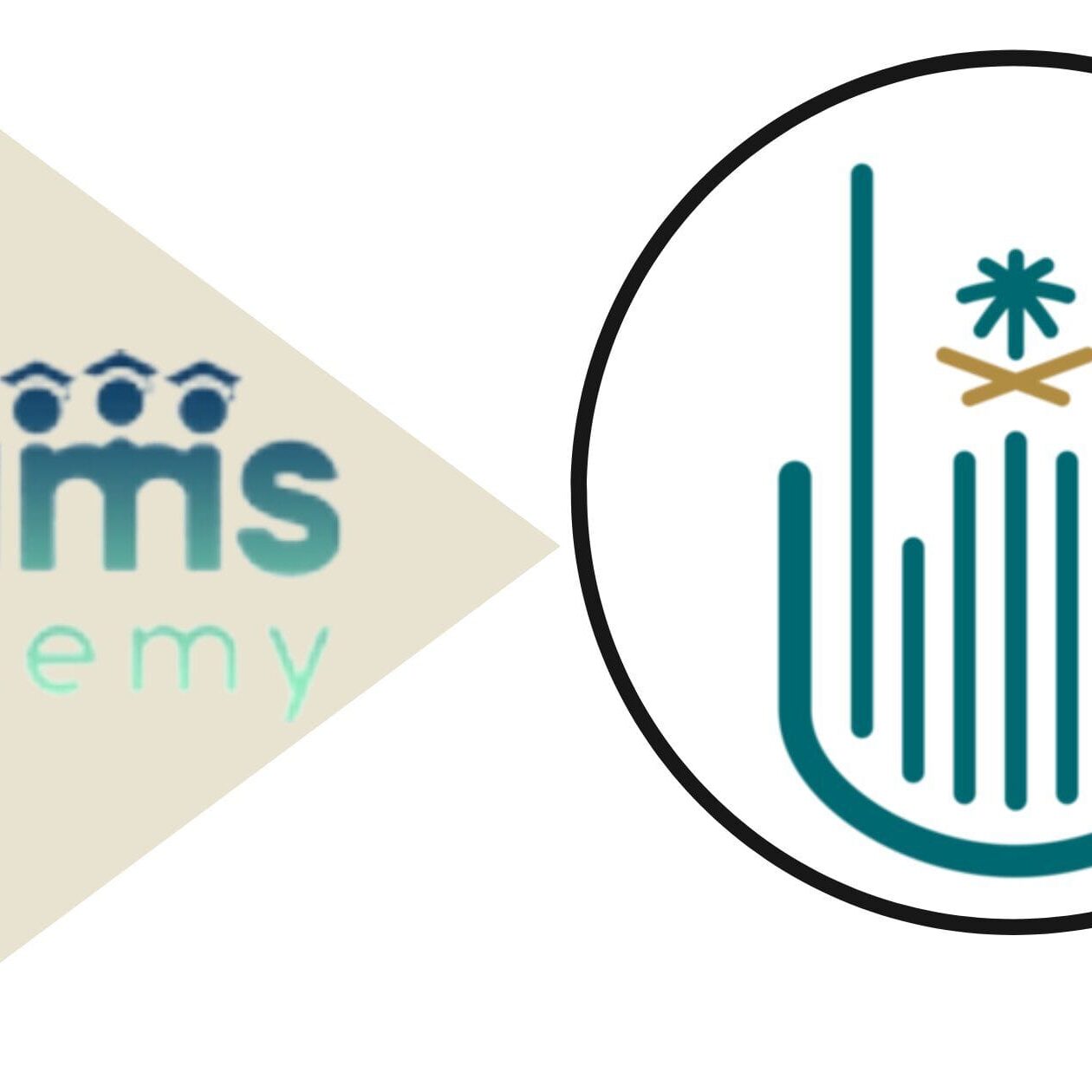 التخصصات المتاحة للبنات في جامعة أم القرى